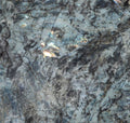 Lemurian Baobab Granite 2CM