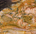 Louise Fantasy Quartzite 2CM