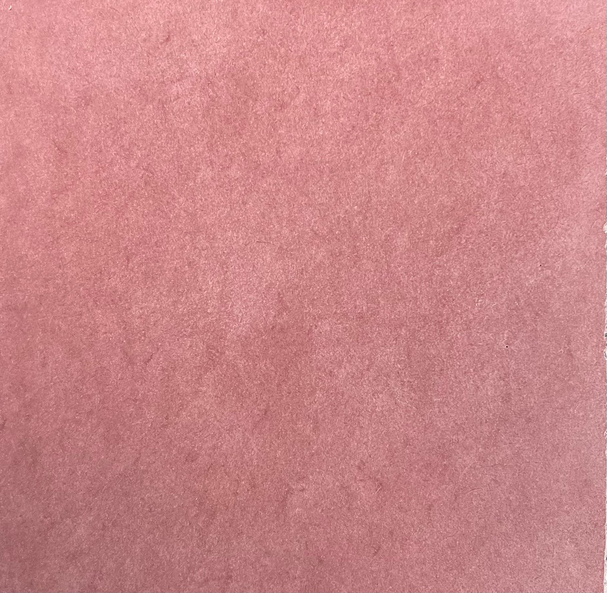 Laguna Plum Polished Concrete Tile