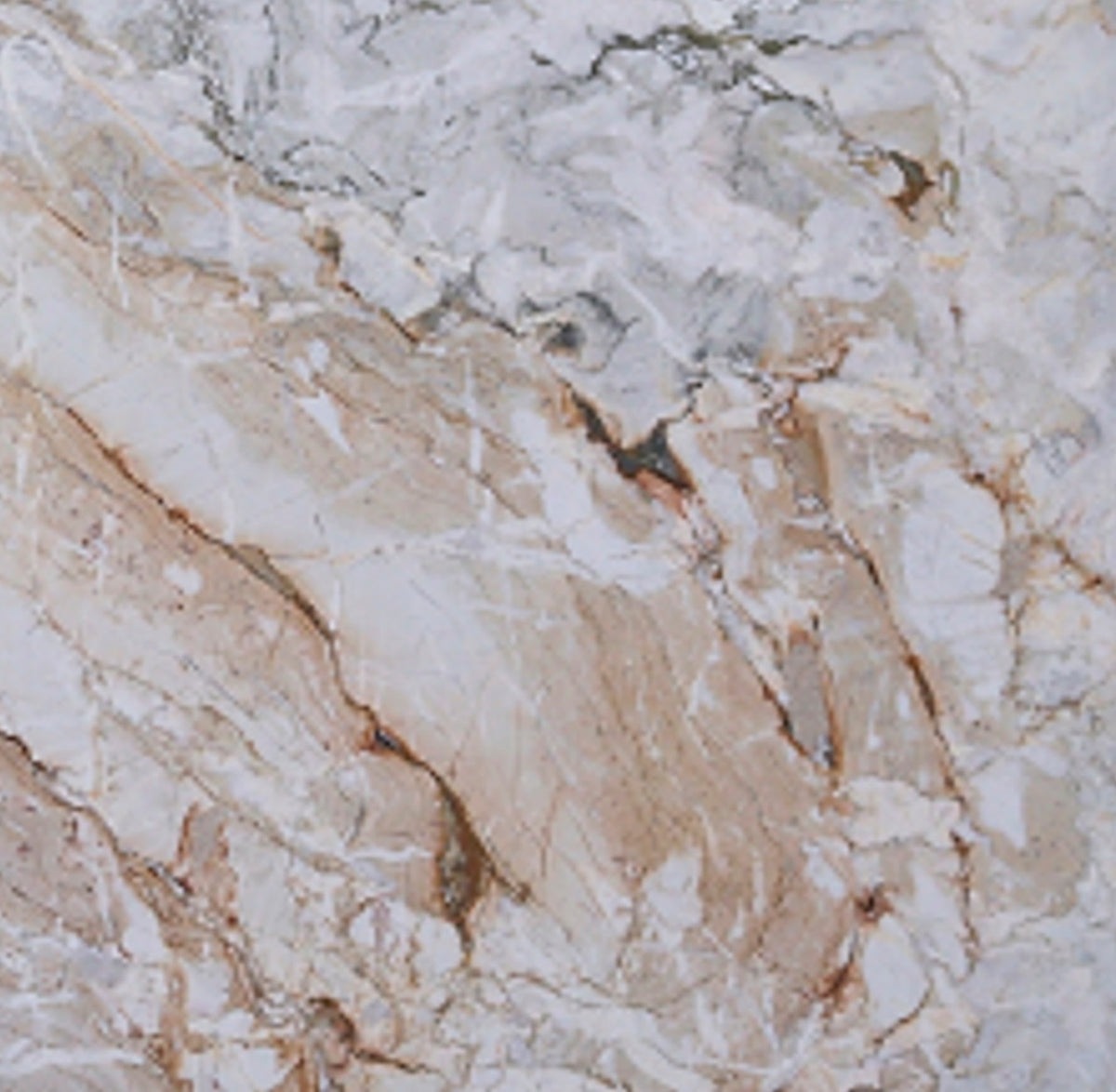 Macchia Vecchia Apuano Marble 2CM