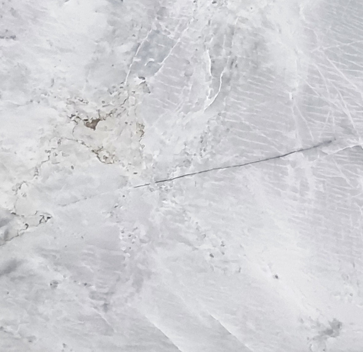 Magnolia Honed Quartzite 3CM