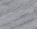 Moondust Platinum Leather Quartzite 3CM