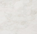 Mystery White Exotica Marble 3CM