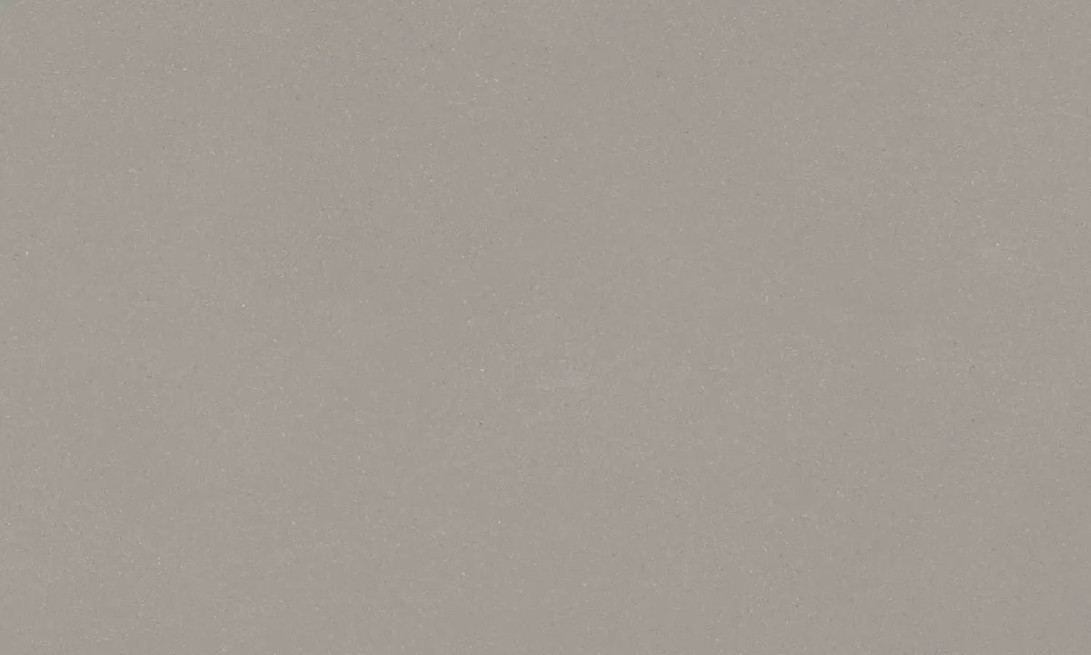 Jurassic Gray Quartz