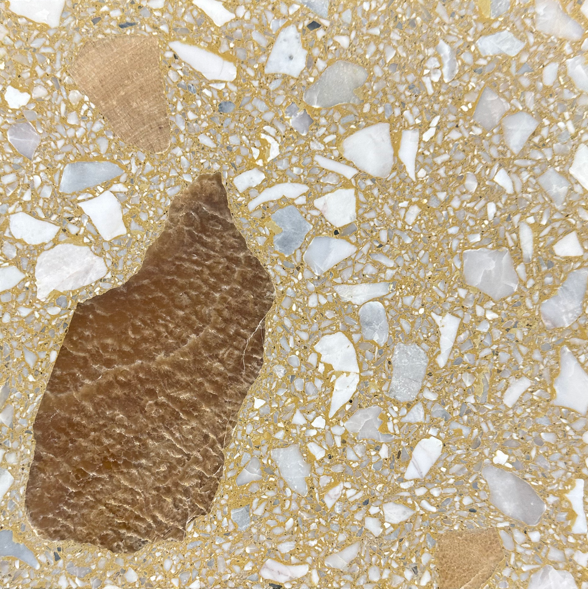 Venice Nightpalm x Gia Terrazzo Tile