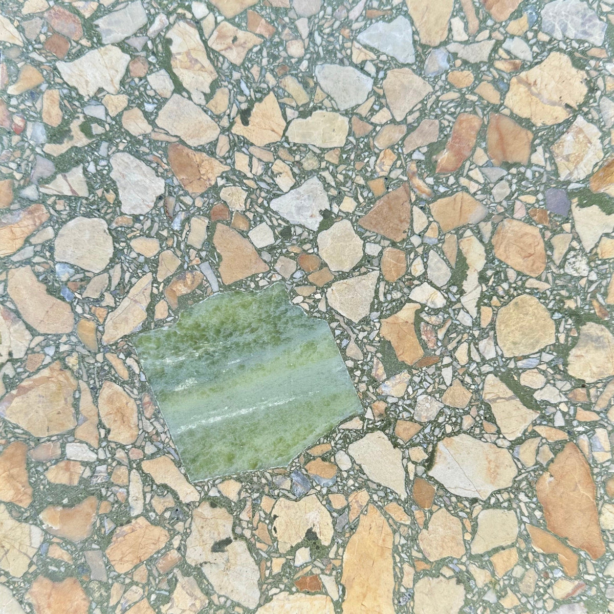 Venice Nightpalm Paradiso Terrazzo Tile 24x24 In Stock