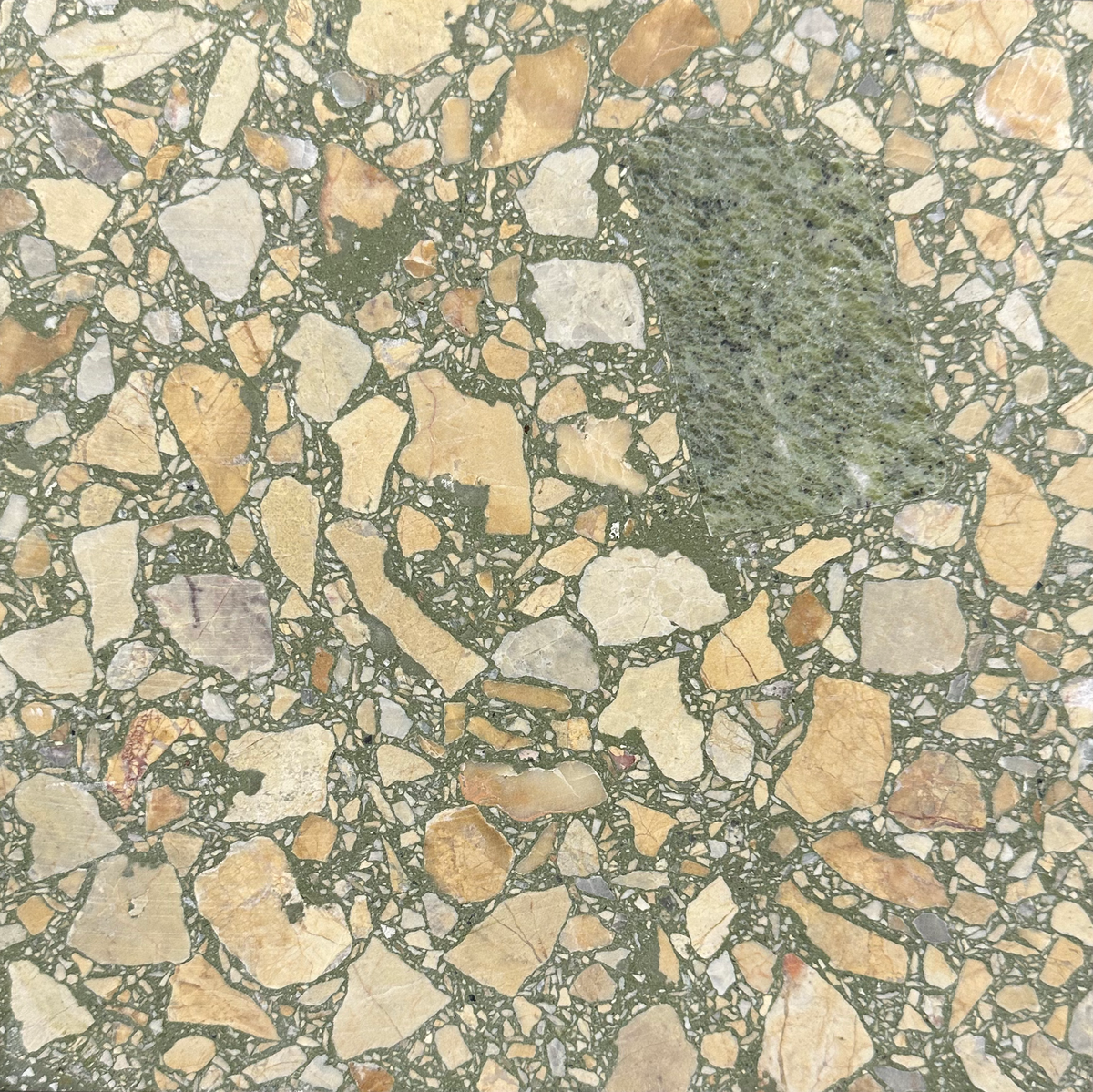 Venice Nightpalm x Paradiso Terrazzo Tile
