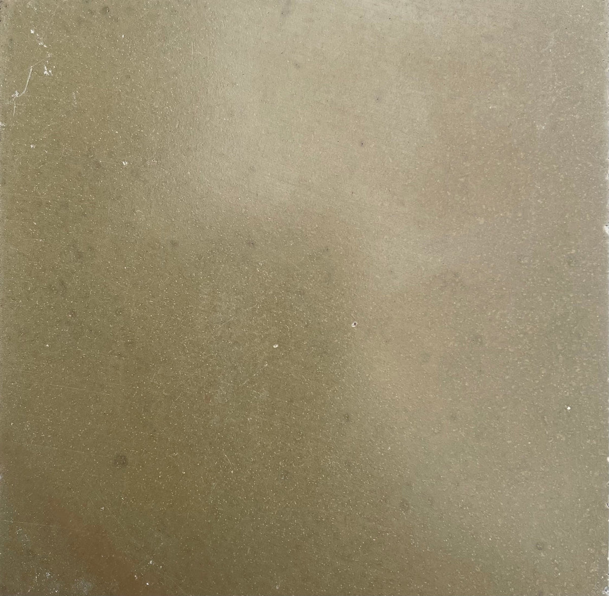 Laguna Nightpalm x Night Garden Polished Concrete Tile