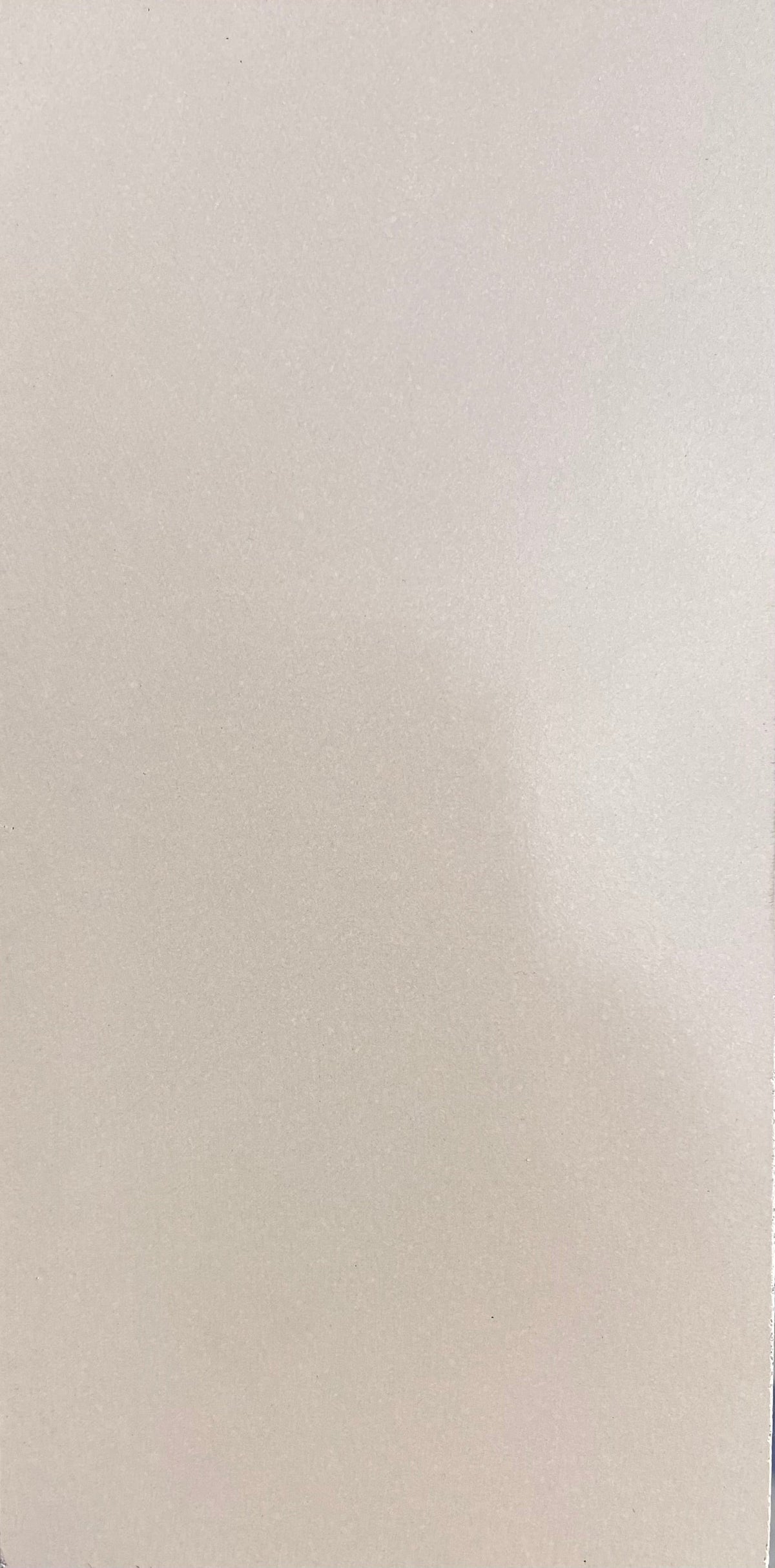 Laguna Nightpalm x Nude Polished Concrete Tile