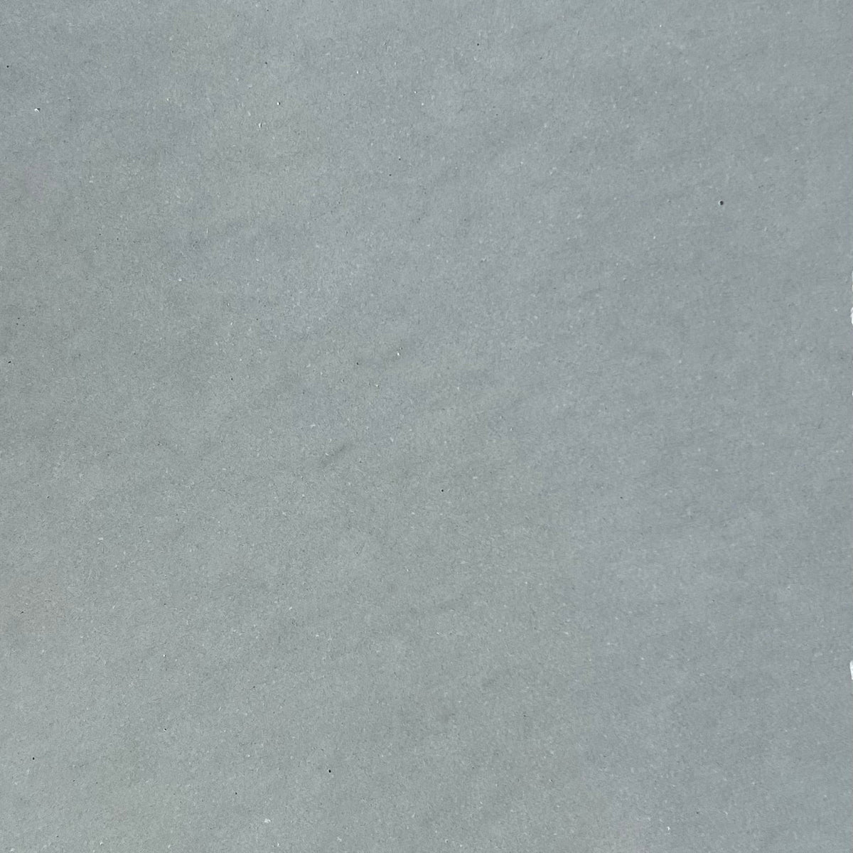 Laguna Nightpalm x Smokey Blue Polished Concrete Tile