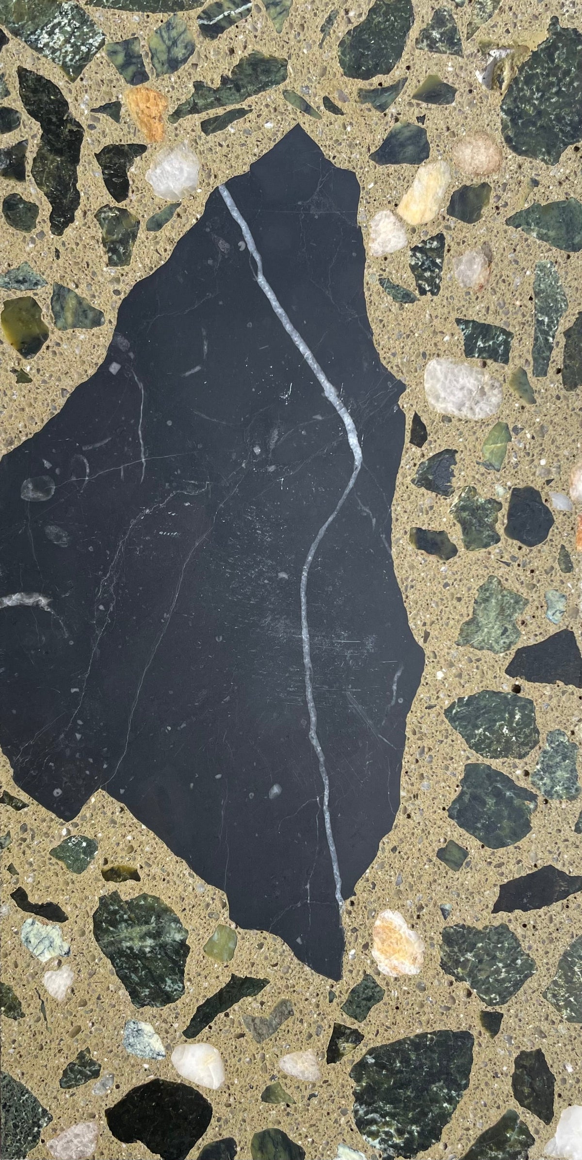 Venice Nightpalm x After Hours Terrazzo Tile