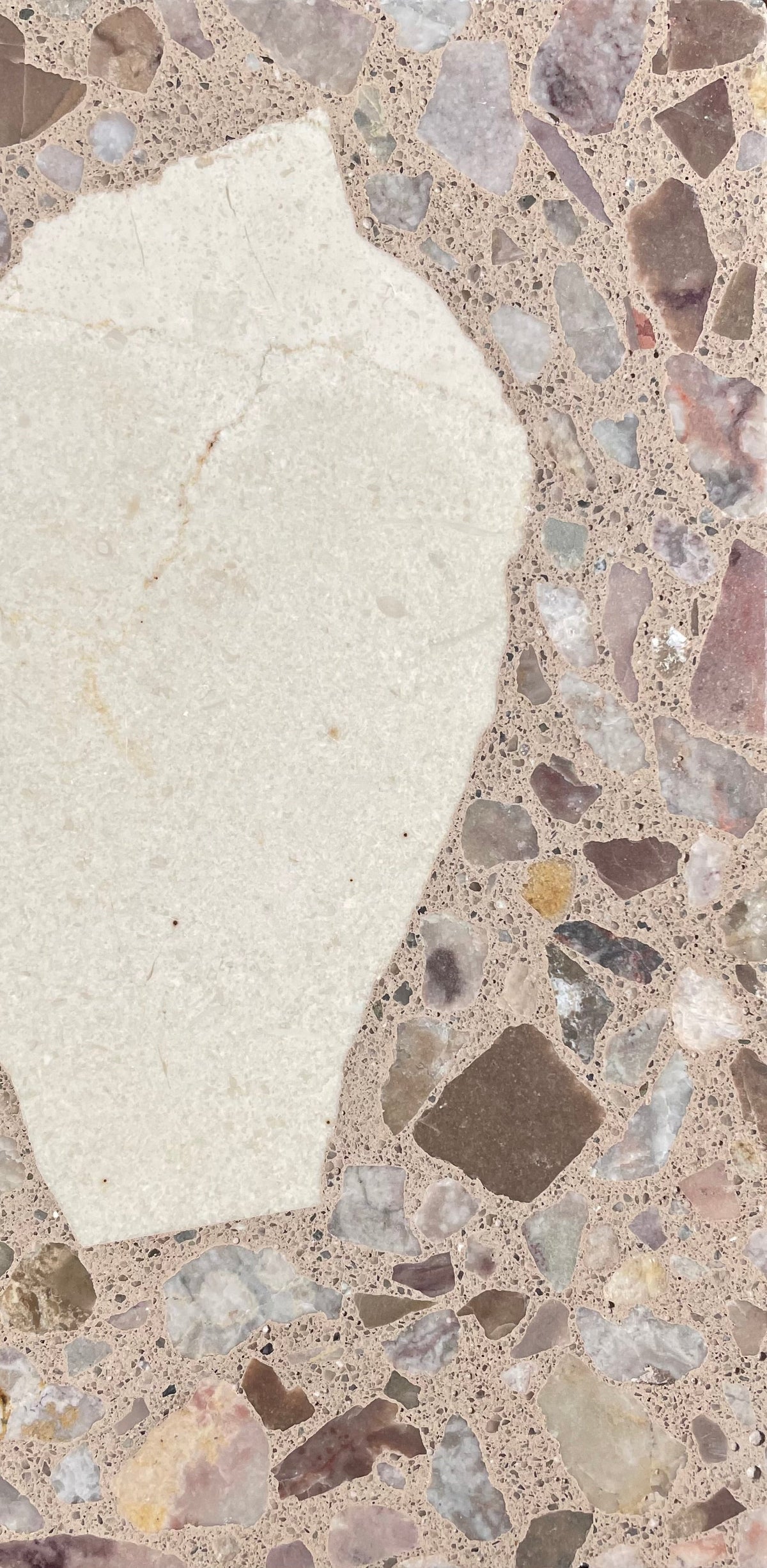 Venice Nightpalm x Fever Dream Terrazzo Tile
