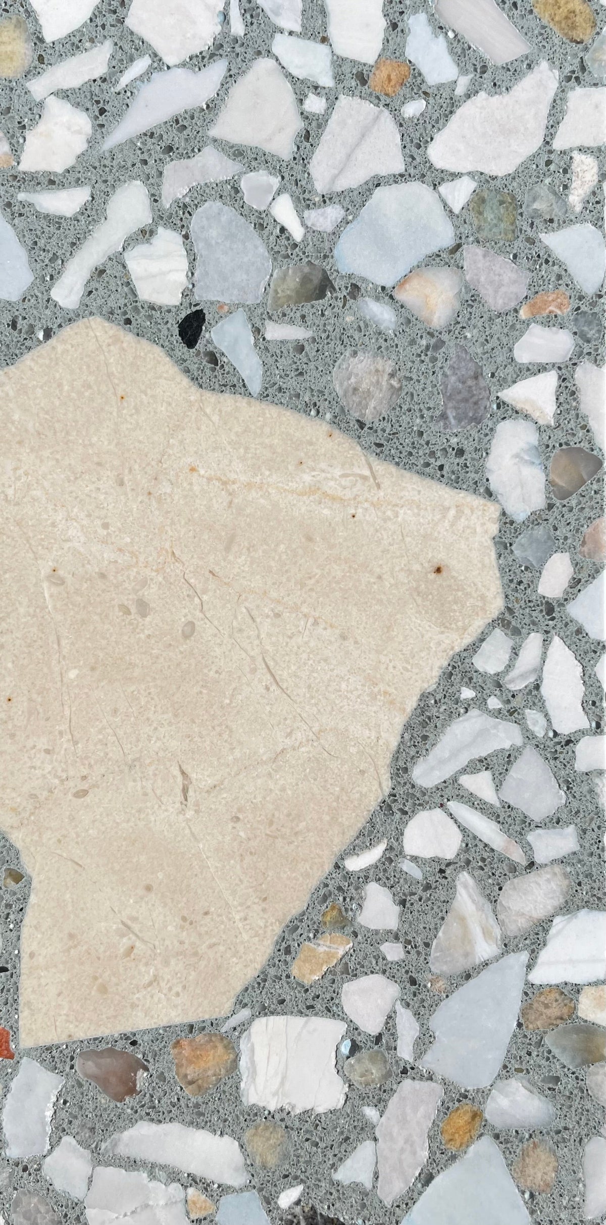 Venice Nightpalm x Worn Silk Terrazzo Tile