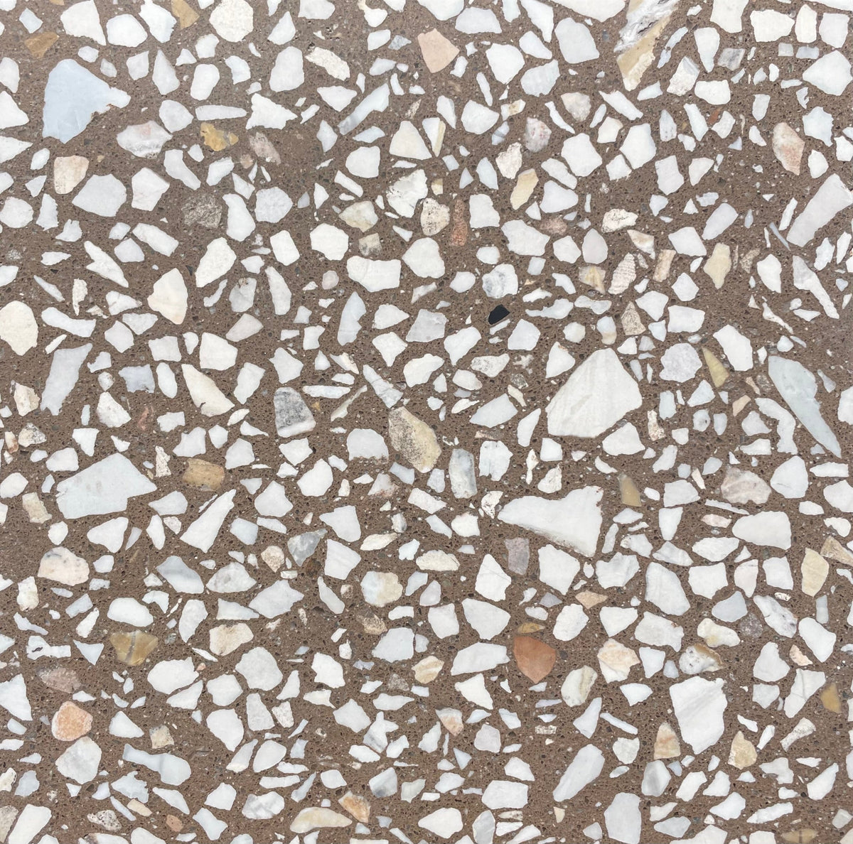 Venice Ome Dezin x Monzino Terrazzo Tile