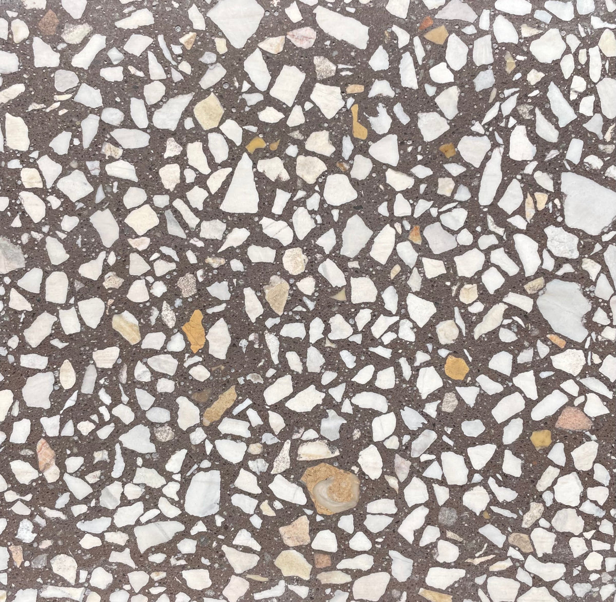 Venice Ome Dezin x Rocca Terrazzo Tile
