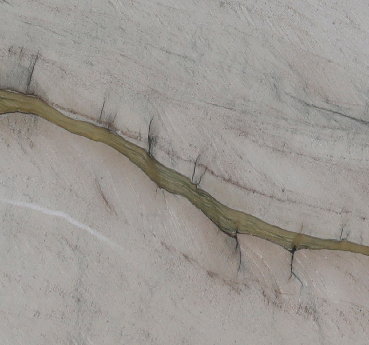 Pearl Fantasy Quartzite 3CM