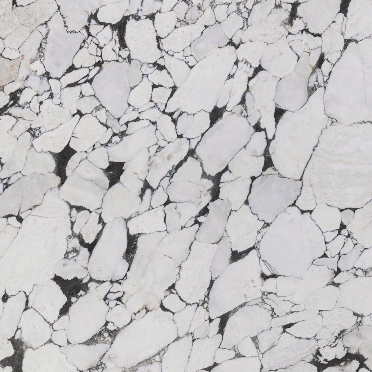 Viola Reale Select Marble 2CM slab