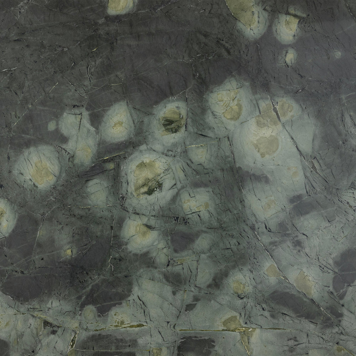 Water Lilies Honed Serpentine 2CM slab