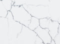 Bianco Napoli Quartz slab