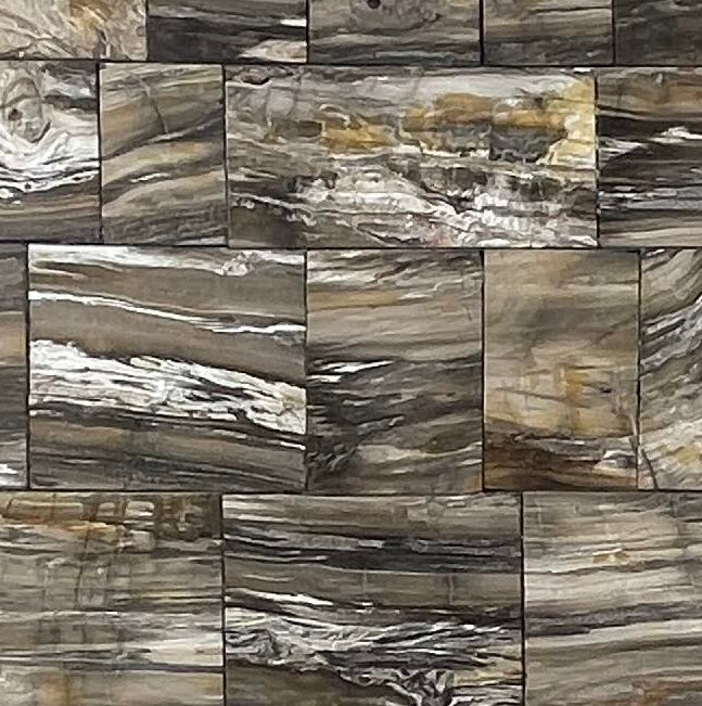 Precioustone Brown Petrified Wood Decking Semi-precious 2CM