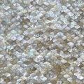 Precioustone Mother Of Pearl Semi-precious 2CM