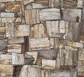 Precioustone Petrified Wood Jurassic Semi-precious 2CM