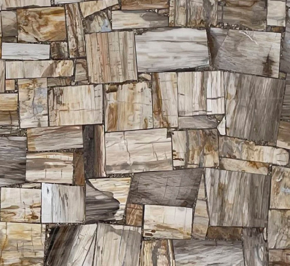 Precioustone Petrified Wood Jurassic Semi-precious 2CM