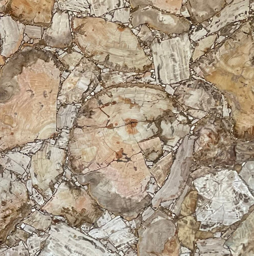 Precioustone Petrified Wood Yellow Semi-precious 2CM