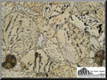 Precioustone Graphic Feldspar Semi-precious 3CM