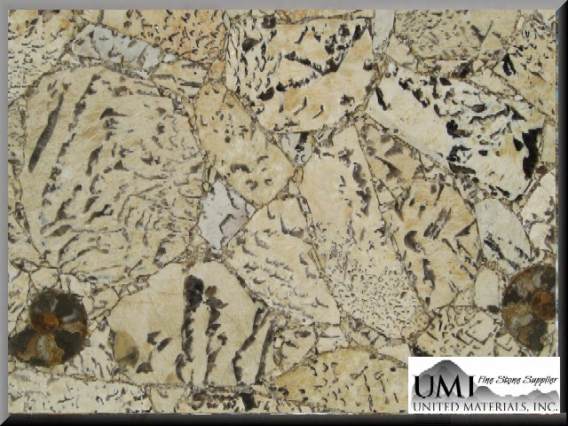 Precioustone Graphic Feldspar Semi-precious 3CM