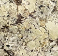 Splendour Gold Granite 3CM