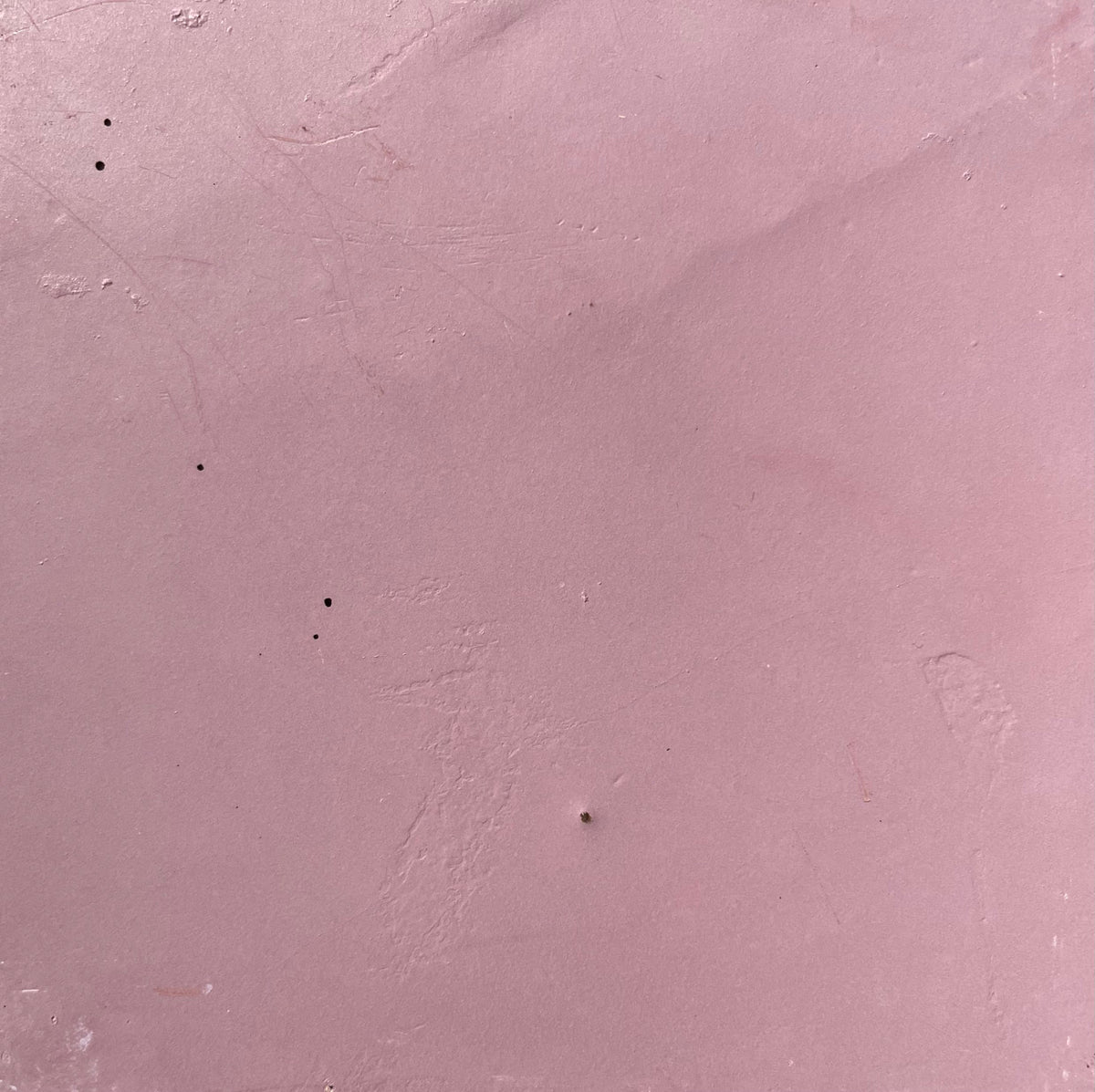 Salt Eny Lee Parker x Rose Clay Concrete Tile