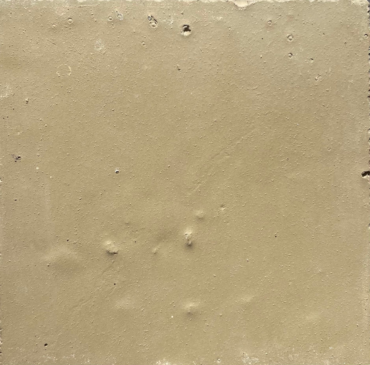 Salt Solstice Interiors x Fern Concrete Tile