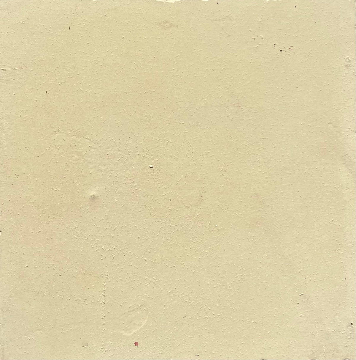 Salt Solstice Interiors x Honey Concrete Tile