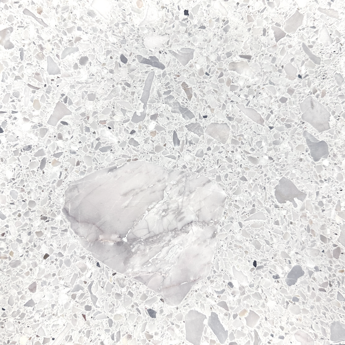 Pacifica Slice White Sl Xlwc Terrazzo Slab 3CM