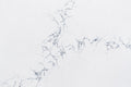 Statuario Azzurro Quartz slab