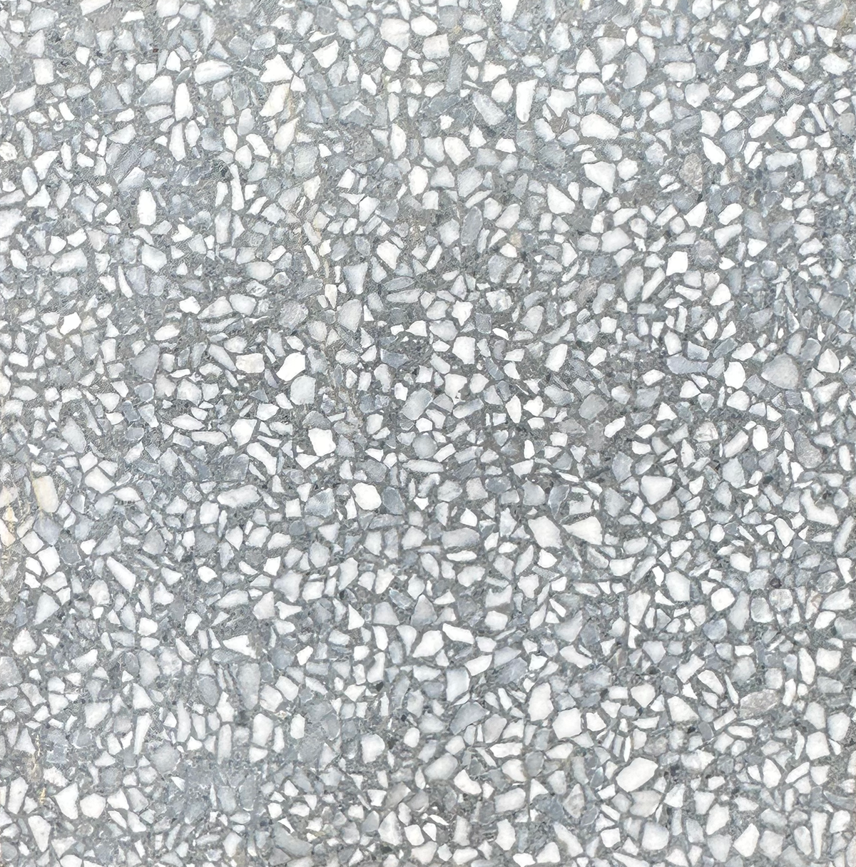 Pacifica Xsmall Coal XSMC Terrazzo Slab 3CM