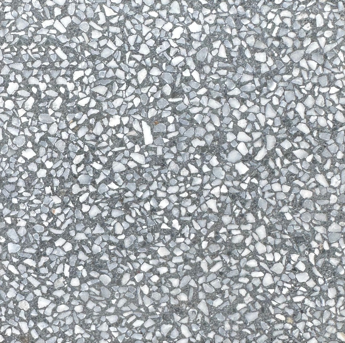 Pacifica Xsmall Ebony XSMC Terrazzo Slab 3CM