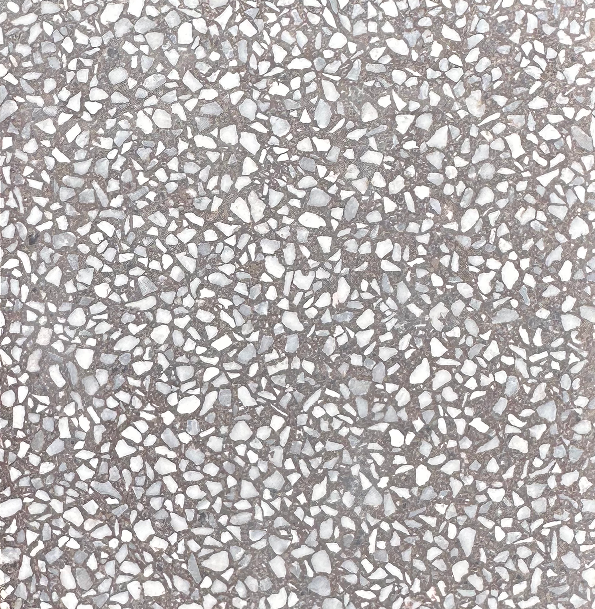 Venice Xsmall Espresso XSMC Terrazzo Tile