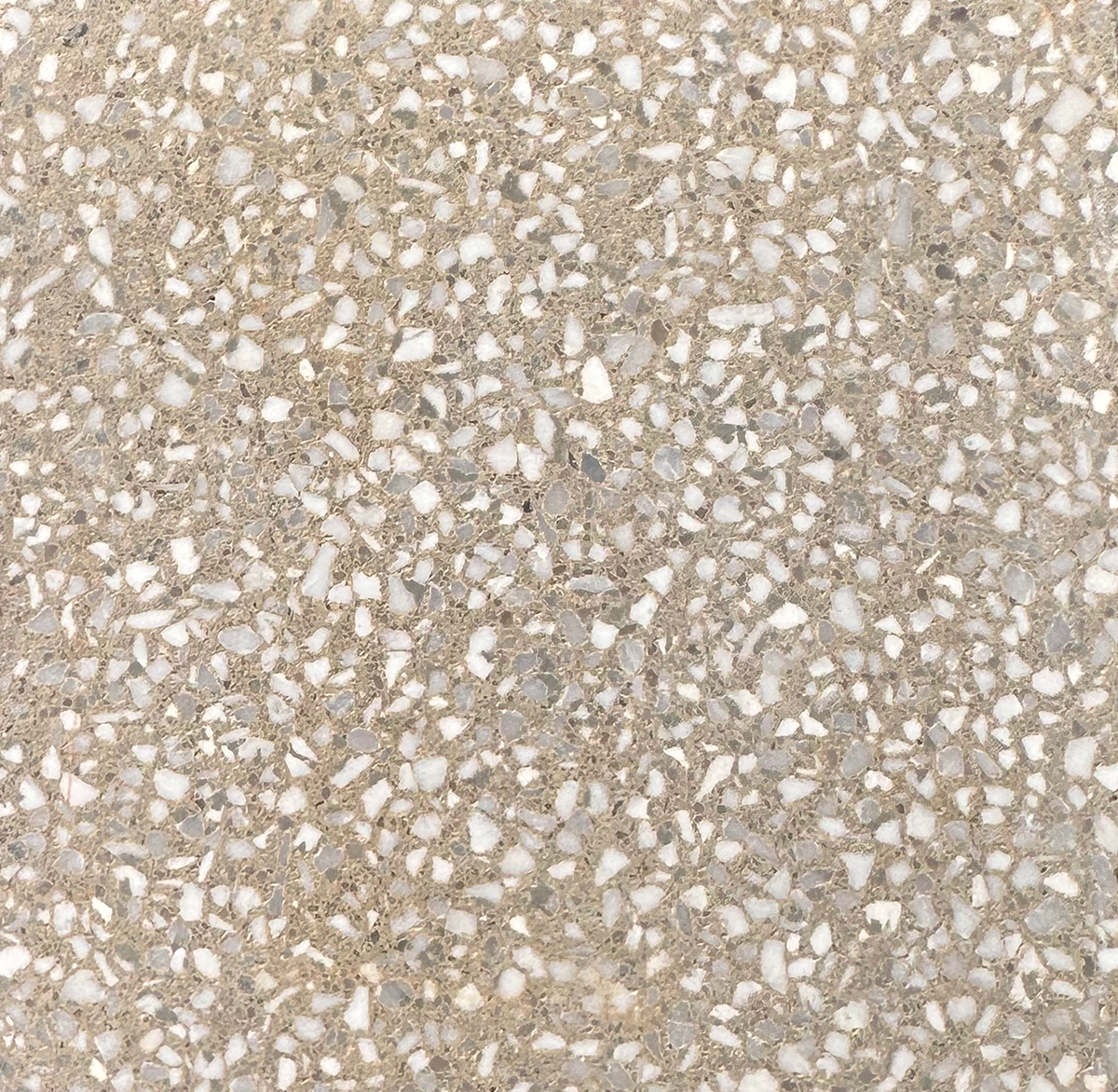 Trails Xsmall Nassau XSMC Terrazzo Paver
