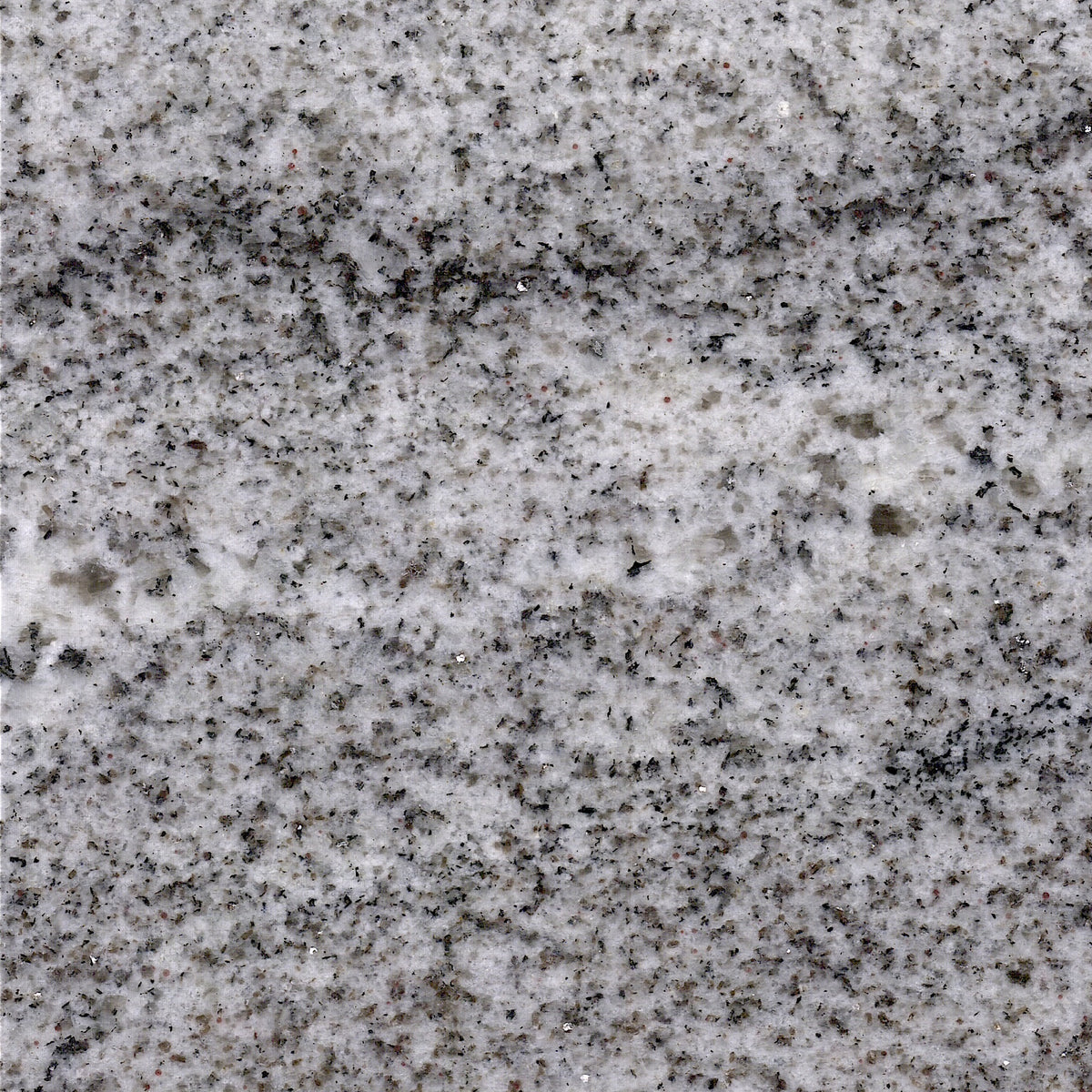 White Vegas Granite 3CM