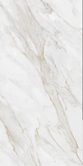 Borghini Matte Porcelain 12MM – representative photo 1; actual slab photo sent with your estimate