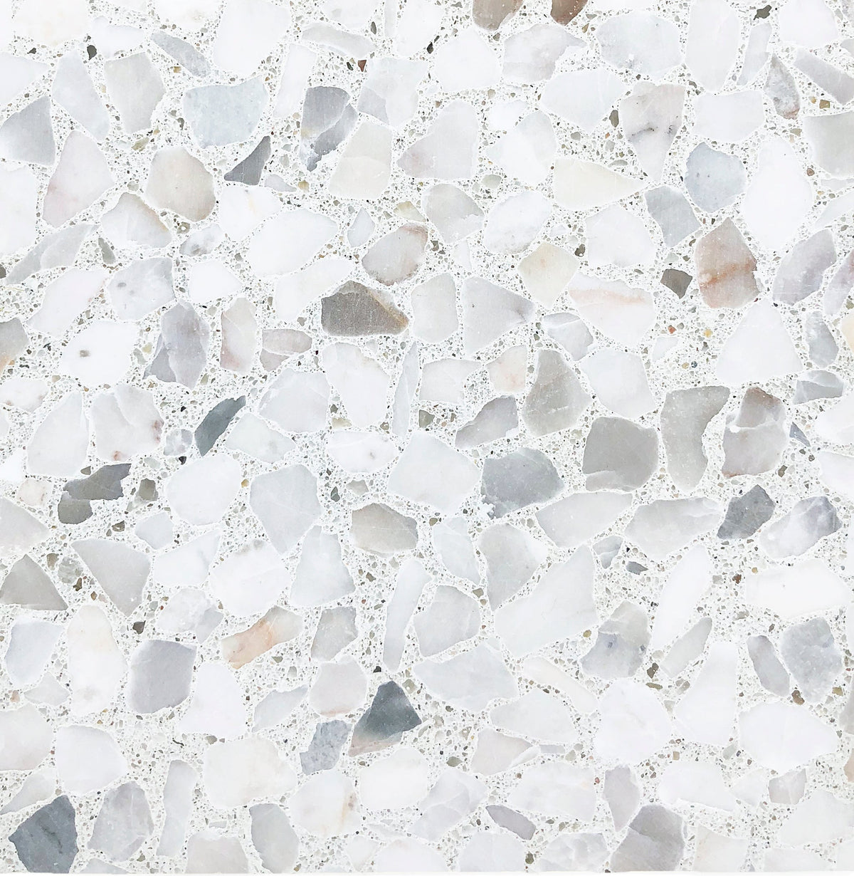 Venice Alabaster MMC Terrazzo Tile 24x24 In Stock