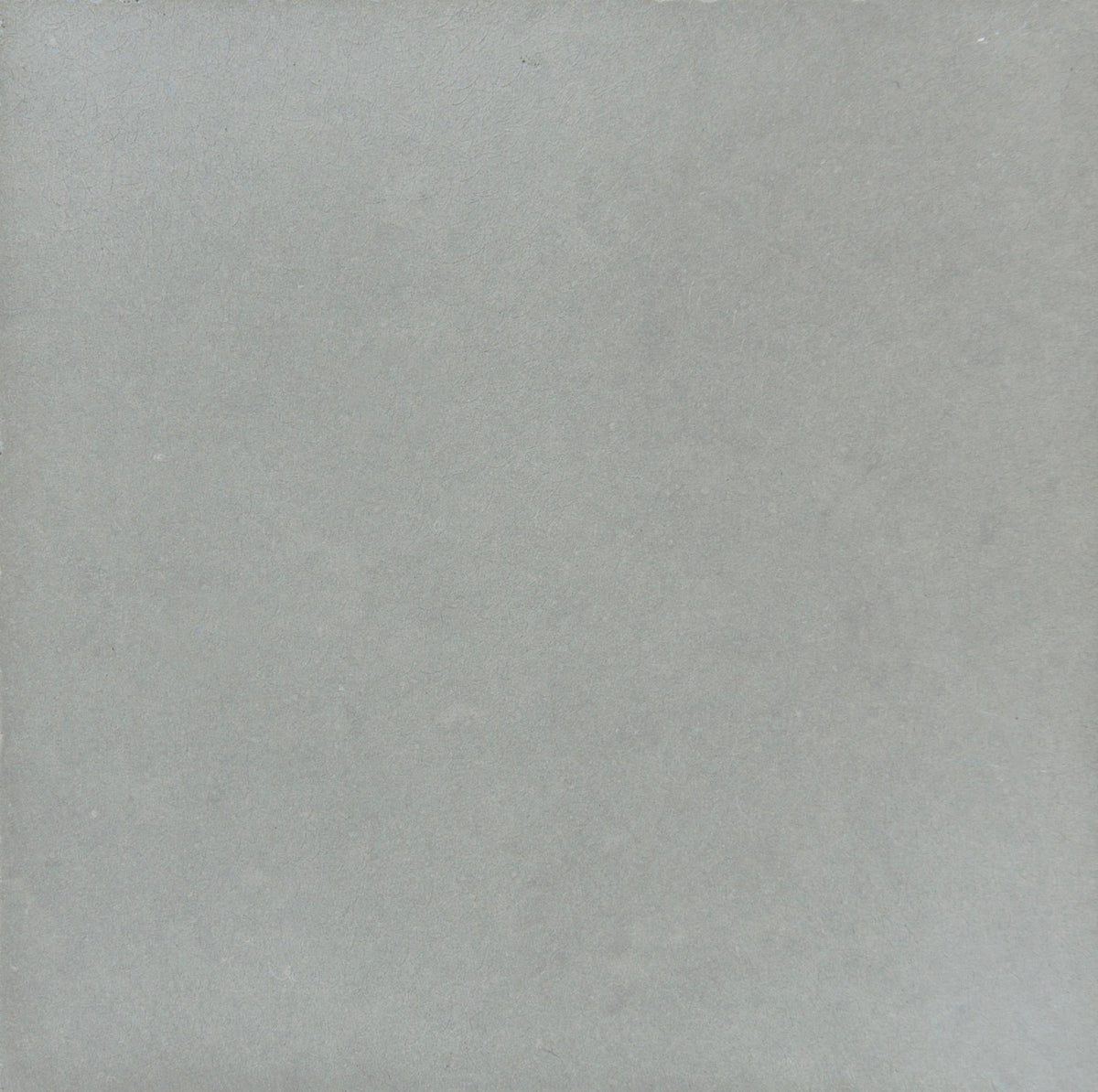 Laguna Ash Polished Concrete Tile