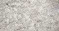 Bianco Typhoon Granite 2CM
