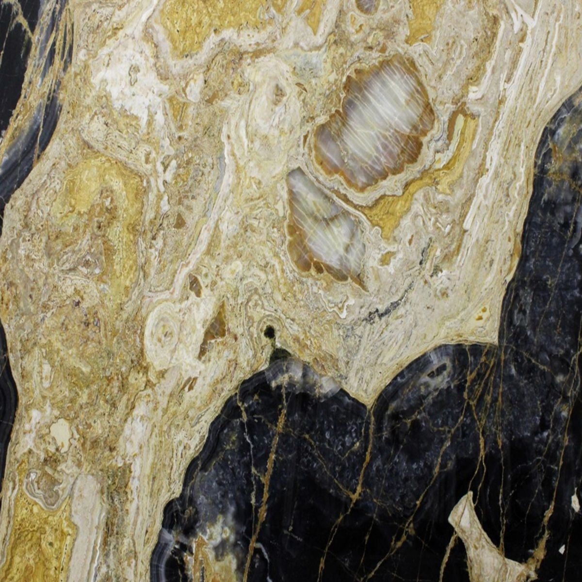 BLACK ONYX 2CM – Go-Granite