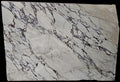 CALACATTA VIOLA CLASSIC MARBLE 2CM slab