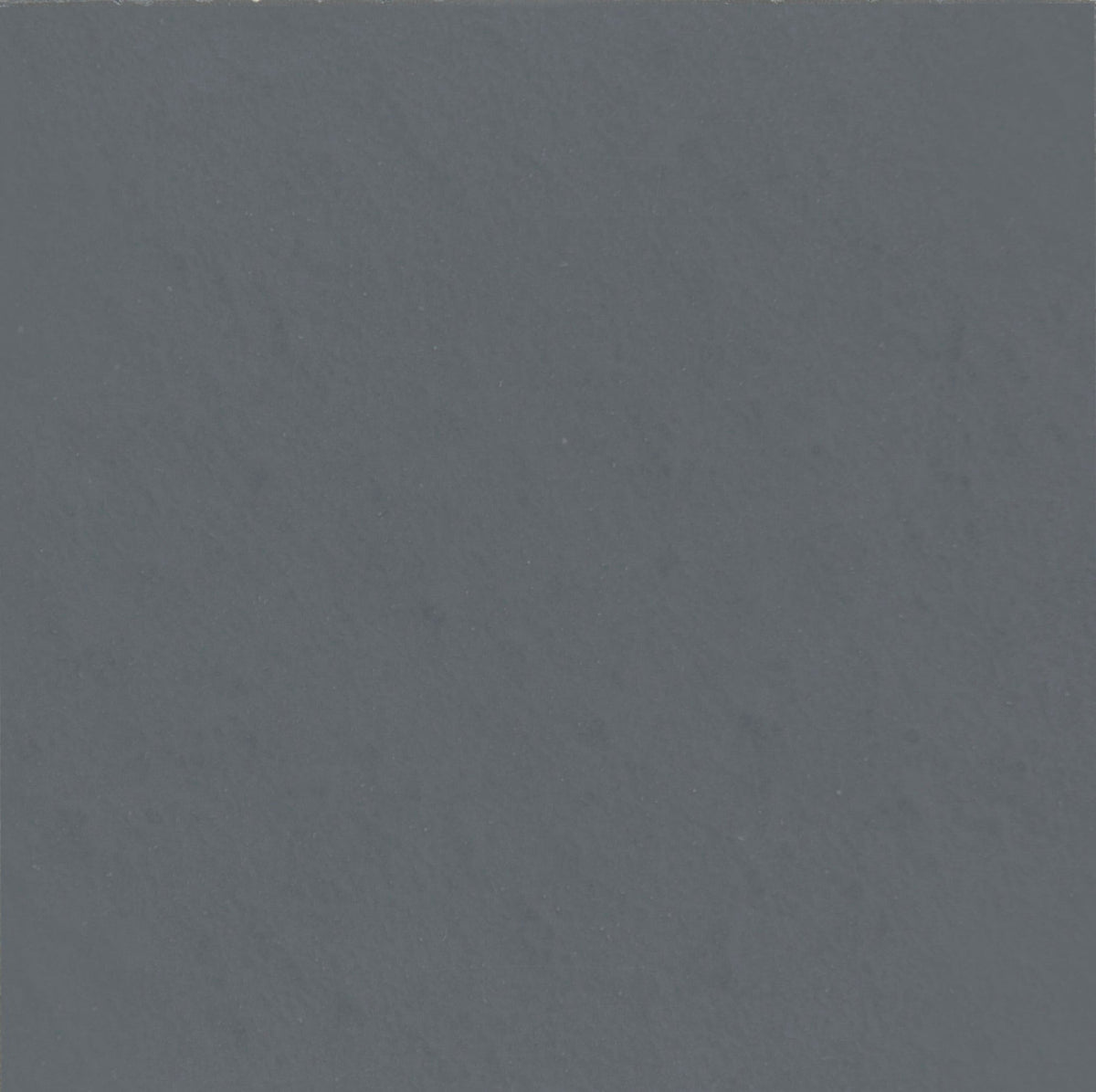 Laguna Coal Polished Concrete Tile