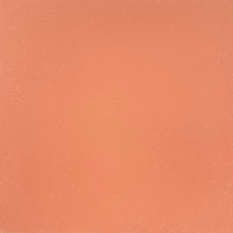 Strands Coral Cement Tile