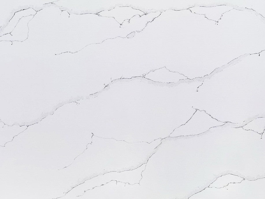Calacatta Vita Forever Quartz Quartz 3CM